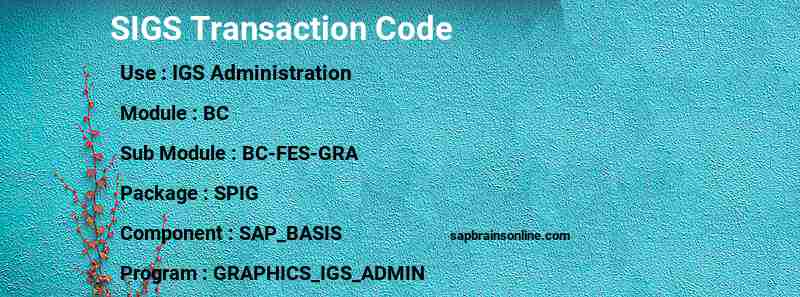 SAP SIGS transaction code