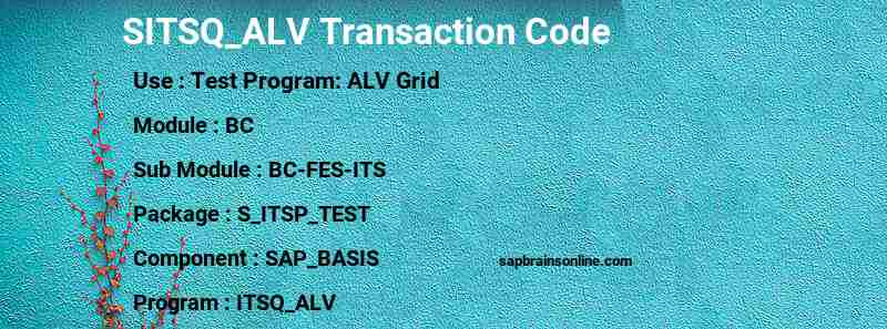 SAP SITSQ_ALV transaction code
