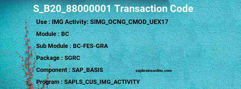 SAP S_B20_88000001 transaction code