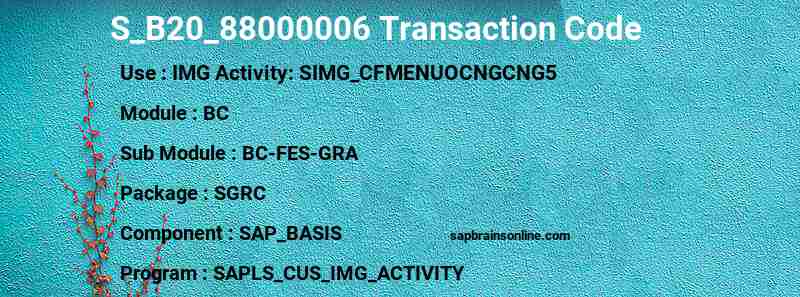 SAP S_B20_88000006 transaction code
