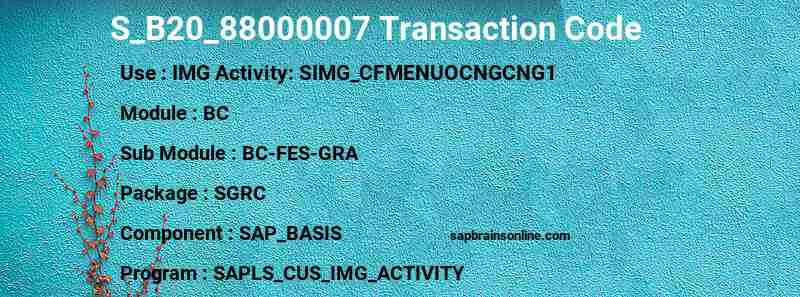 SAP S_B20_88000007 transaction code