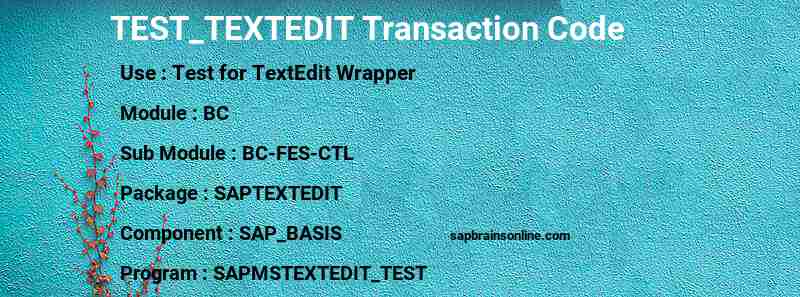 SAP TEST_TEXTEDIT transaction code