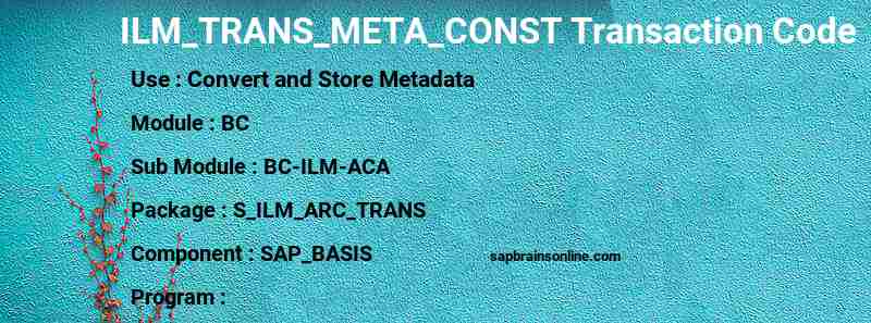 SAP ILM_TRANS_META_CONST transaction code