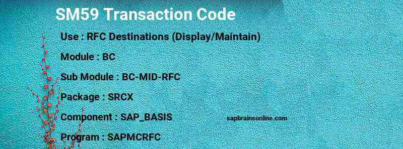 SAP SM59 transaction code