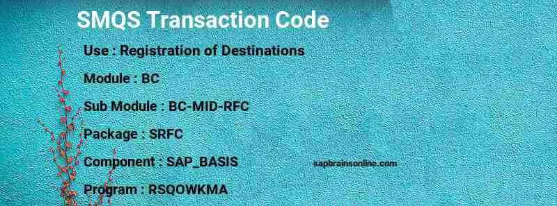 SAP SMQS transaction code