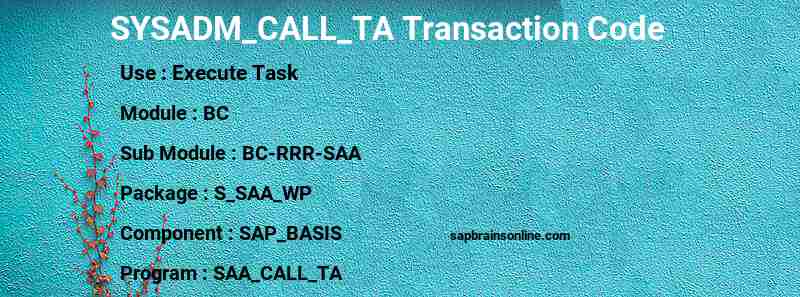SAP SYSADM_CALL_TA transaction code