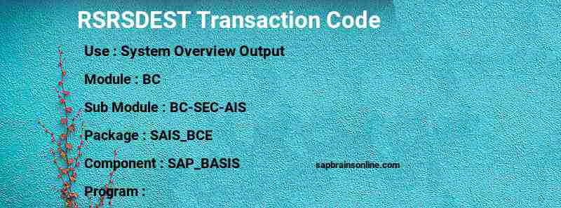 SAP RSRSDEST transaction code