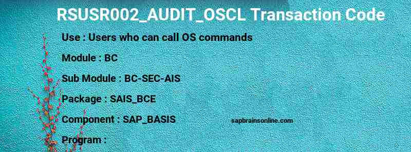 SAP RSUSR002_AUDIT_OSCL transaction code