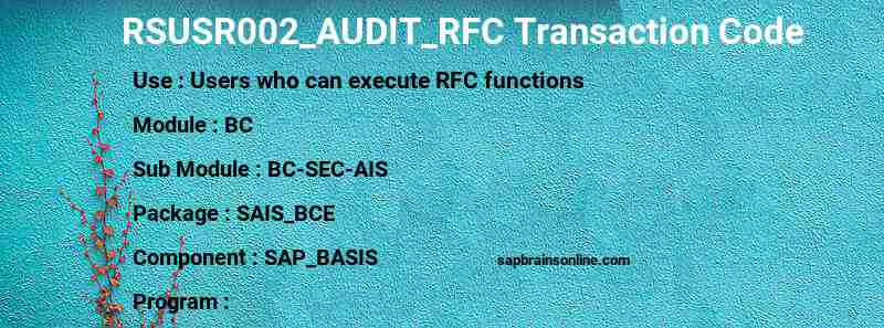 SAP RSUSR002_AUDIT_RFC transaction code