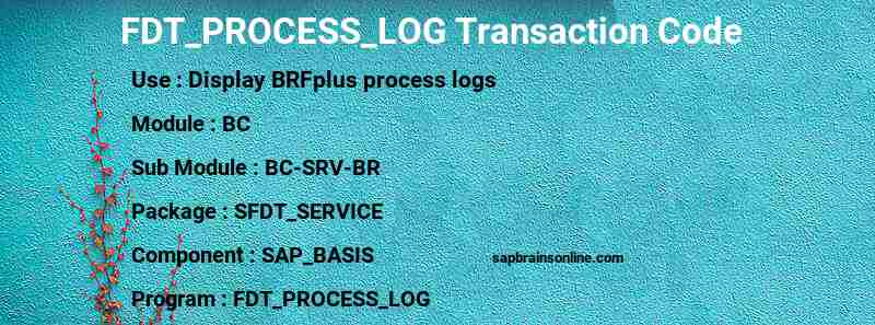 SAP FDT_PROCESS_LOG transaction code