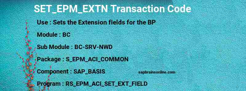 SAP SET_EPM_EXTN transaction code