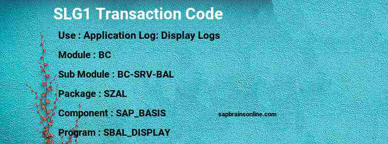 SAP SLG1 transaction code
