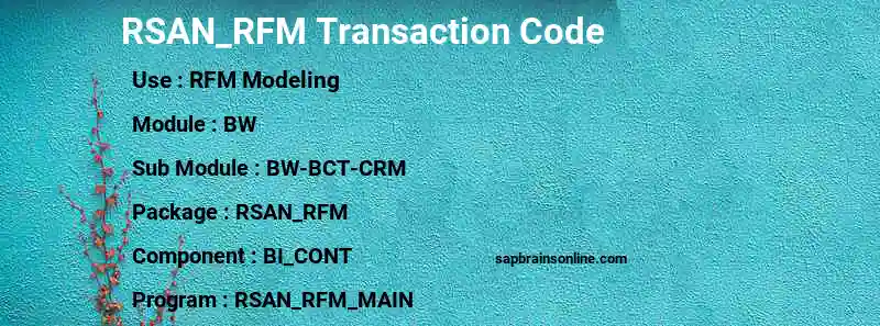 SAP RSAN_RFM transaction code