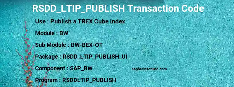 SAP RSDD_LTIP_PUBLISH transaction code