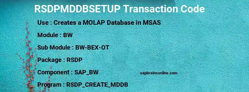 SAP RSDPMDDBSETUP transaction code