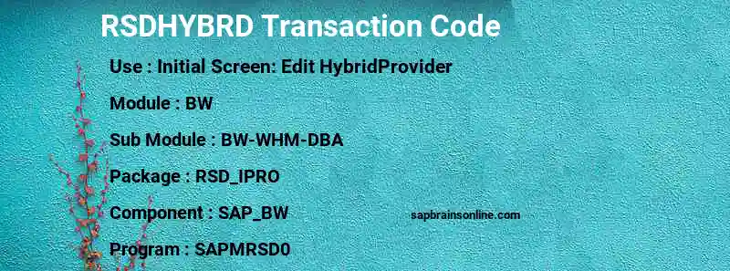SAP RSDHYBRD transaction code