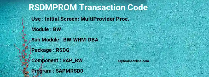 SAP RSDMPROM transaction code
