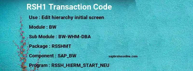 SAP RSH1 transaction code