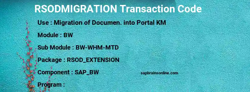 SAP RSODMIGRATION transaction code