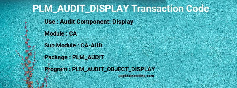 SAP PLM_AUDIT_DISPLAY transaction code
