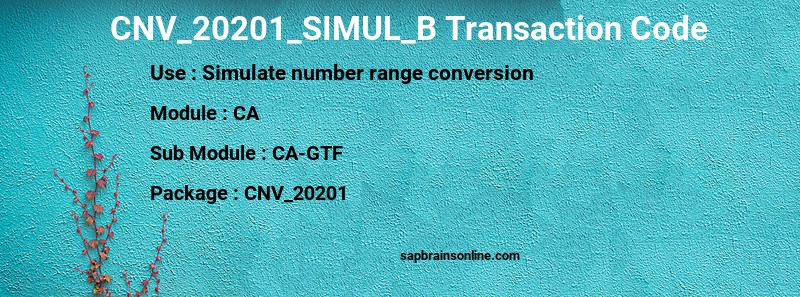 SAP CNV_20201_SIMUL_B transaction code