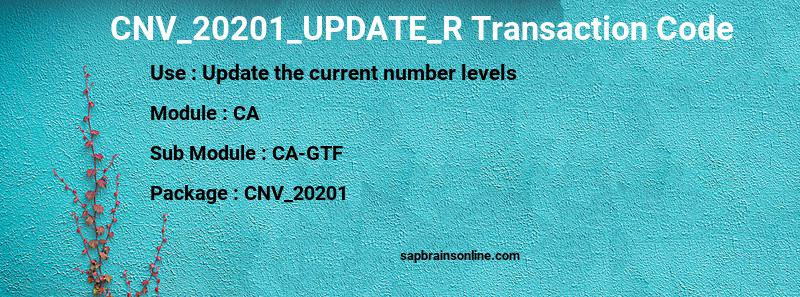 SAP CNV_20201_UPDATE_R transaction code