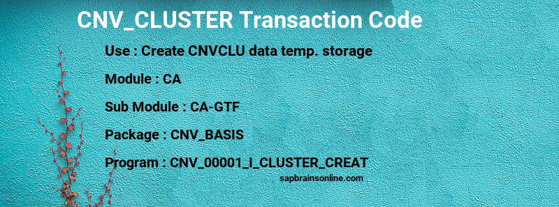 SAP CNV_CLUSTER transaction code