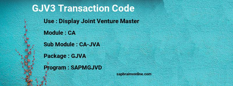 SAP GJV3 transaction code