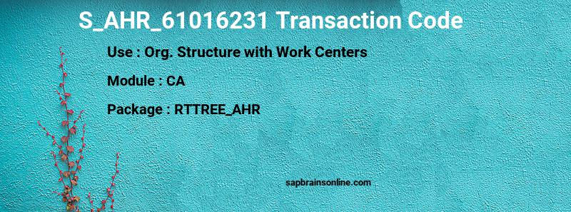 SAP S_AHR_61016231 transaction code