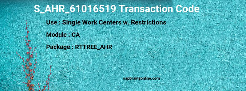 SAP S_AHR_61016519 transaction code