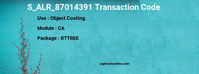 SAP S_ALR_87014391 transaction code