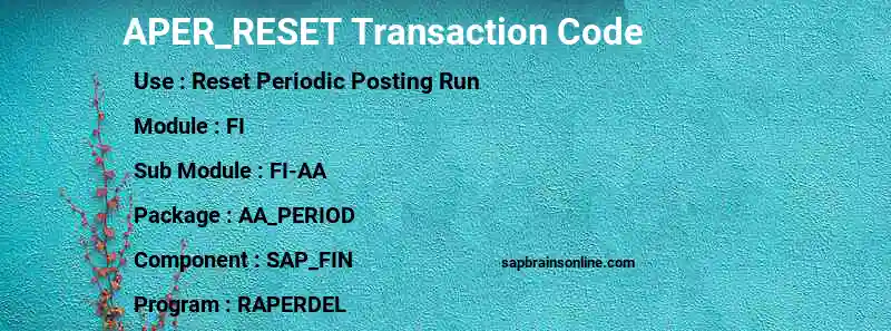 SAP APER_RESET transaction code