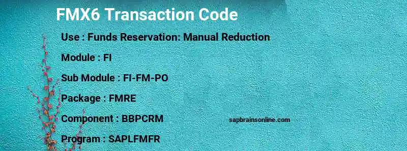 SAP FMX6 transaction code