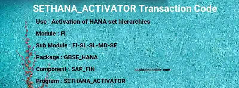 SAP SETHANA_ACTIVATOR transaction code