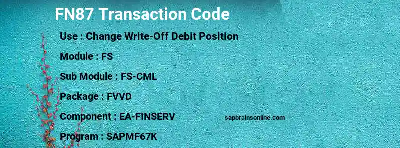 SAP FN87 transaction code