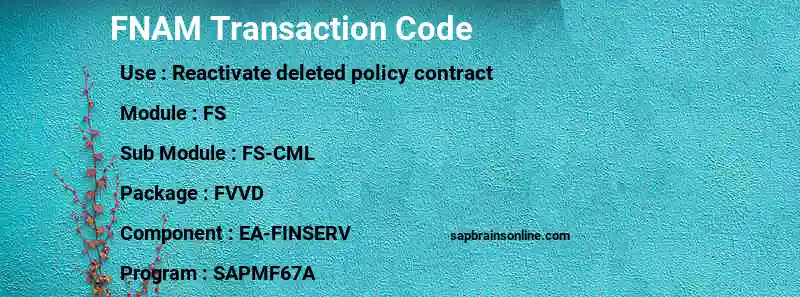 SAP FNAM transaction code