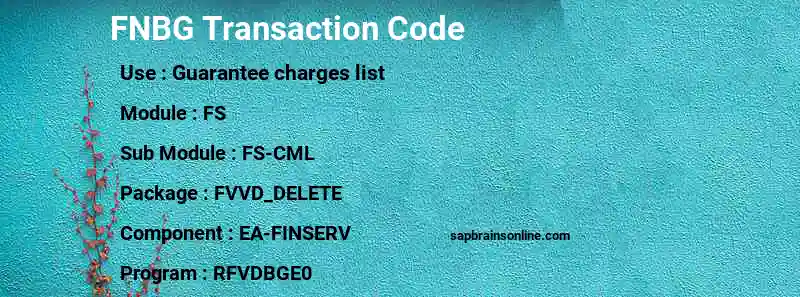 SAP FNBG transaction code