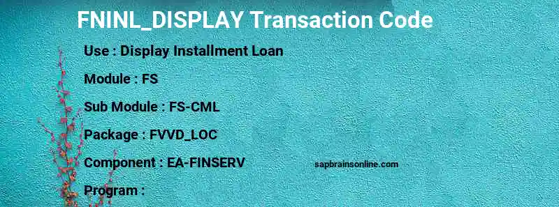 SAP FNINL_DISPLAY transaction code