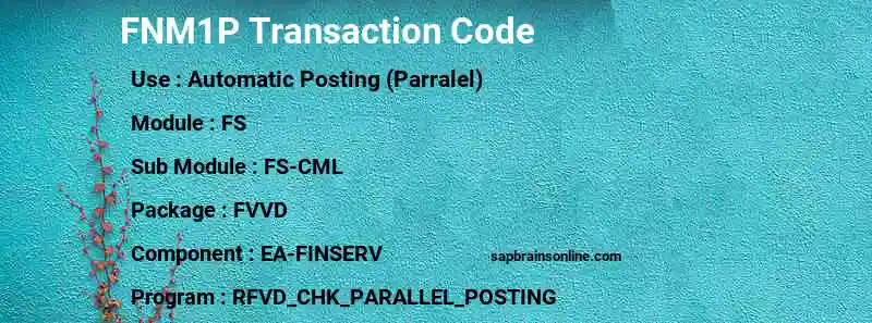 SAP FNM1P transaction code