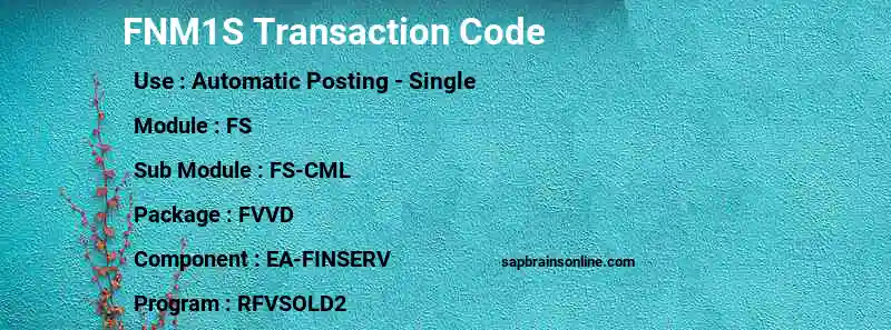 SAP FNM1S transaction code