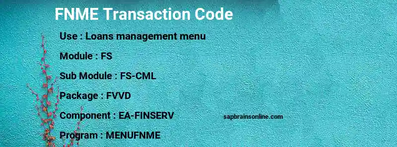 SAP FNME transaction code