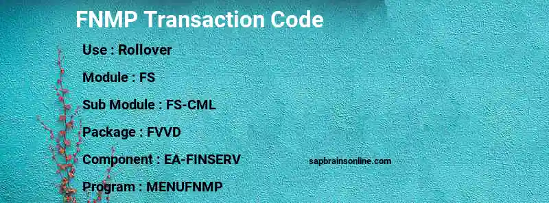 SAP FNMP transaction code