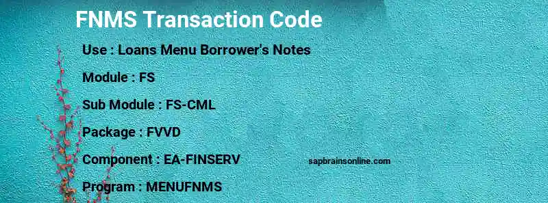 SAP FNMS transaction code