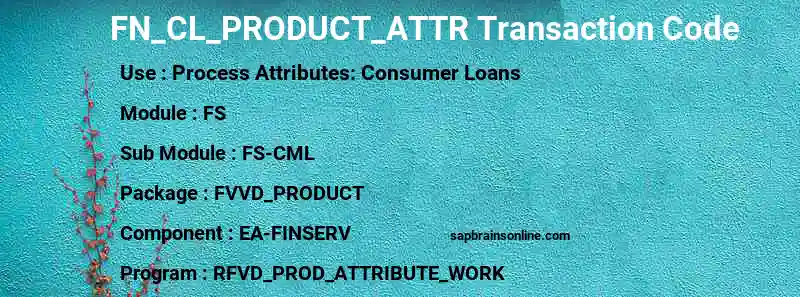 SAP FN_CL_PRODUCT_ATTR transaction code