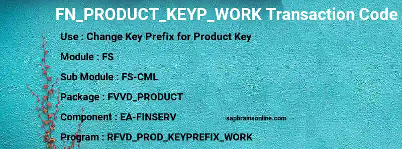 SAP FN_PRODUCT_KEYP_WORK transaction code