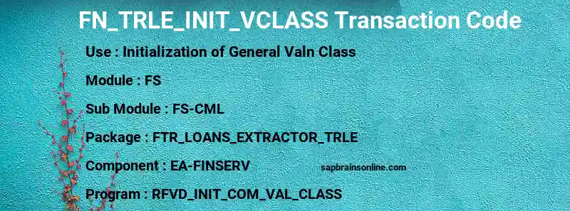 SAP FN_TRLE_INIT_VCLASS transaction code