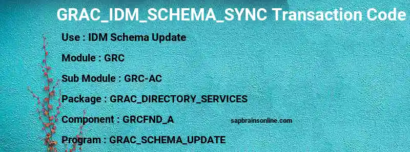 SAP GRAC_IDM_SCHEMA_SYNC transaction code