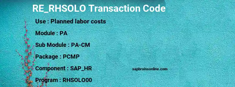 SAP RE_RHSOLO transaction code