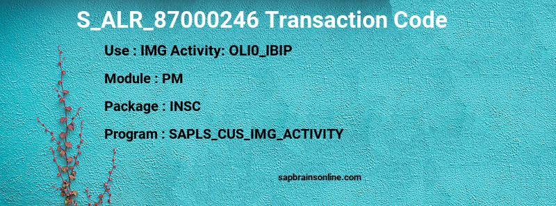 SAP S_ALR_87000246 transaction code