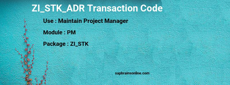 SAP ZI_STK_ADR transaction code